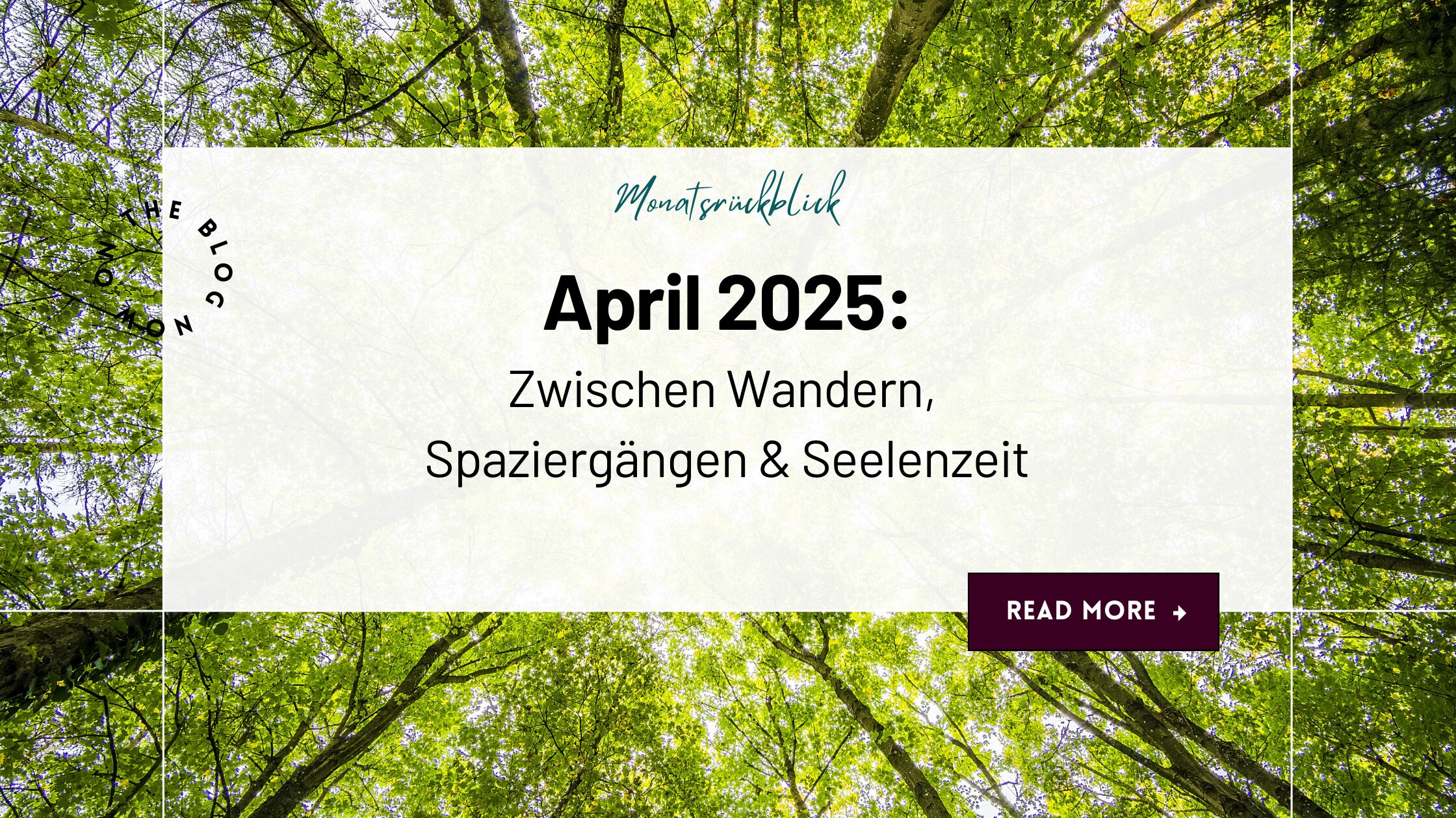 Monatsrückblick April 2025 Monatsrückblick April 2025